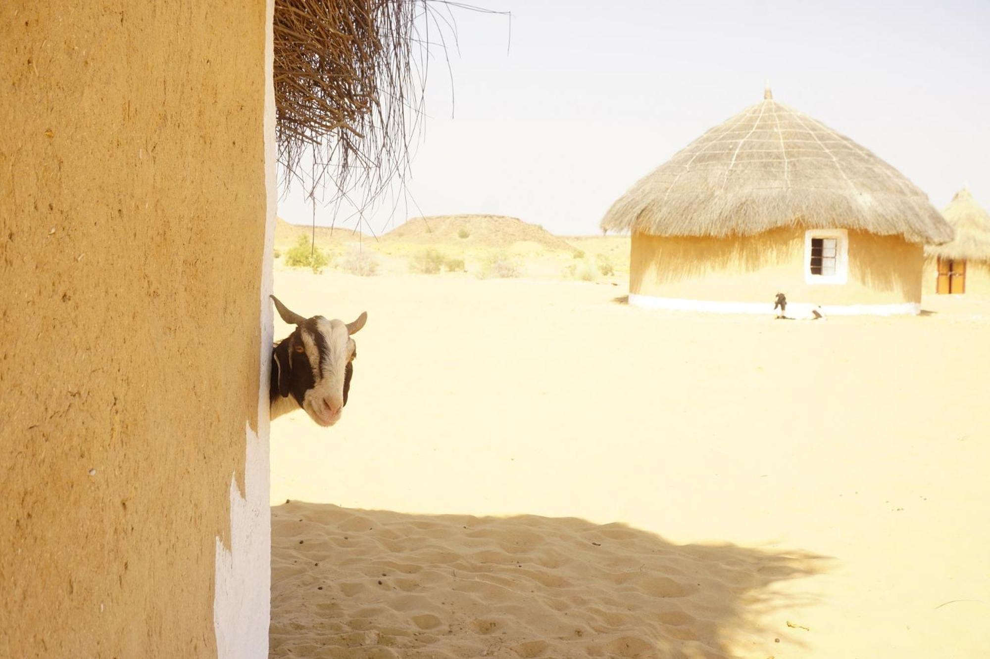 Mala Ki Dhani Jaisalmer Exterior foto