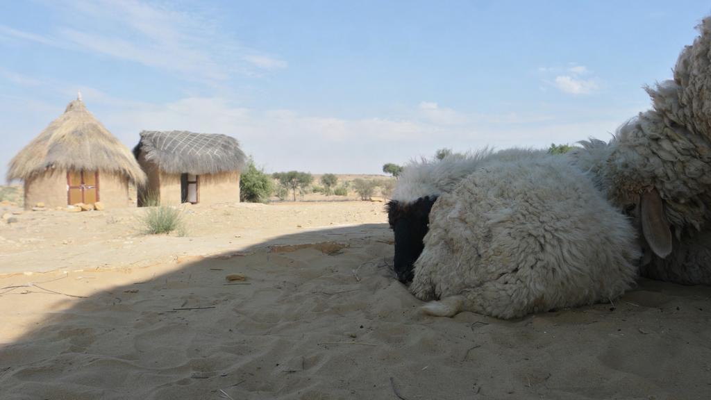 Mala Ki Dhani Jaisalmer Exterior foto
